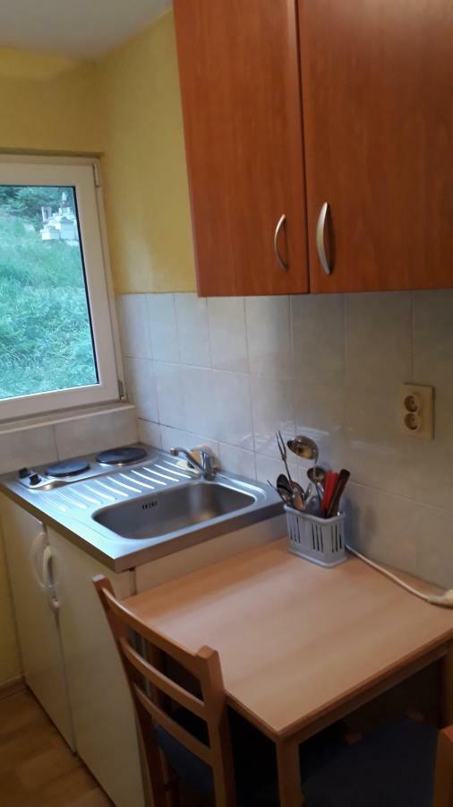 Vila Ruska Prčanj 외부 사진